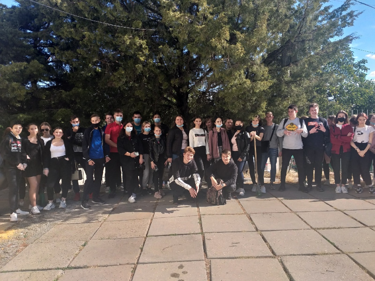 6gfd